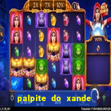 palpite do xande de hoje